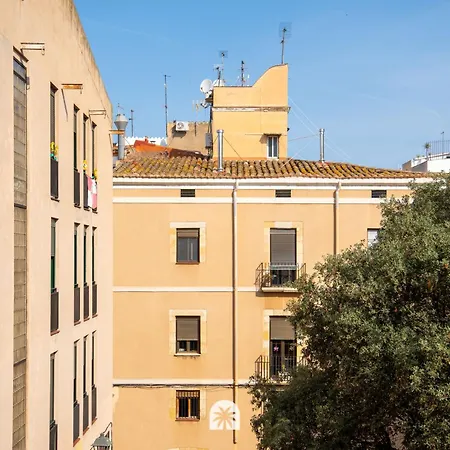 Weroomies - Blue Tarraco Tarragona